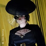 Die Fledermaus